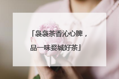 袅袅茶香沁心脾，品一味婺城好茶