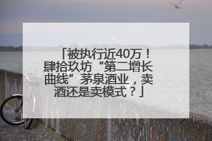 被执行近40万！肆拾玖坊“第二增长曲线”茅泉酒业，卖酒还是卖模式？