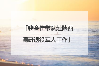 裴金佳带队赴陕西调研退役军人工作
