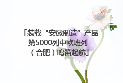 装载“安徽制造”产品 第5000列中欧班列（合肥）鸣笛起航