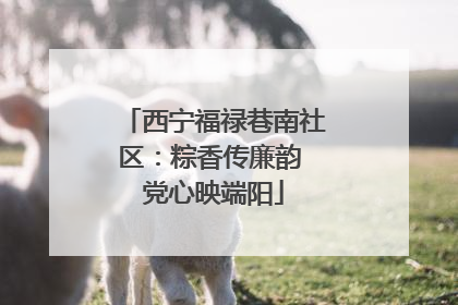 西宁福禄巷南社区：粽香传廉韵 党心映端阳