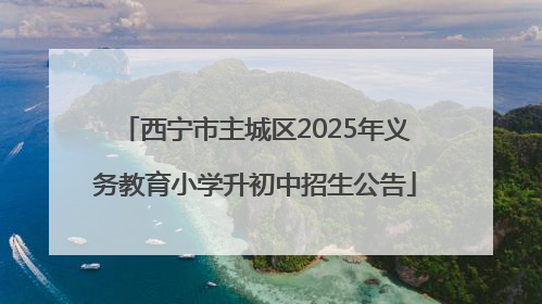 西宁市主城区2025年义务教育小学升初中招生公告