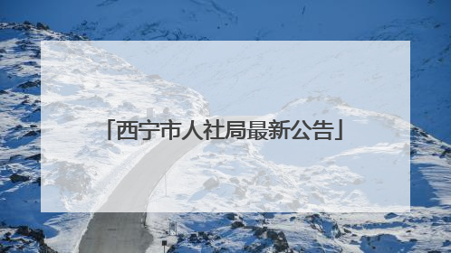 西宁市人社局最新公告