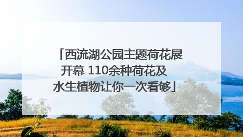西流湖公园主题荷花展开幕 110余种荷花及水生植物让你一次看够