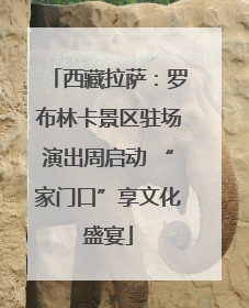 西藏拉萨：罗布林卡景区驻场演出周启动 “家门口”享文化盛宴