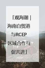 观海潮｜海南自贸港与RCEP区域合作互促共进