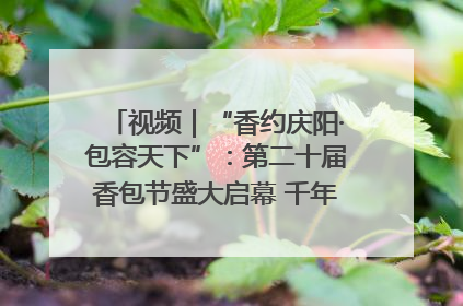 视频｜“香约庆阳·包容天下”：第二十届香包节盛大启幕 千年非遗香飘世界