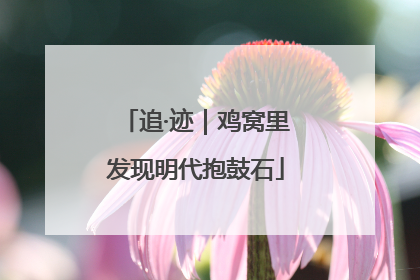 追·迹｜鸡窝里发现明代抱鼓石