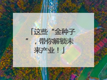 这些“金种子”，带你解锁未来产业！