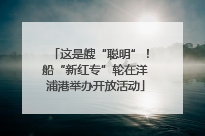 这是艘“聪明”！船“新红专”轮在洋浦港举办开放活动