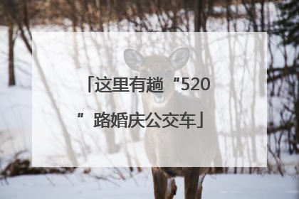 这里有趟“520”路婚庆公交车