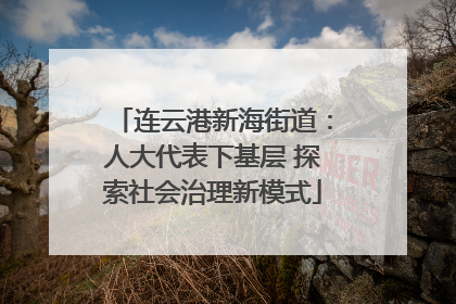 连云港新海街道：人大代表下基层 探索社会治理新模式