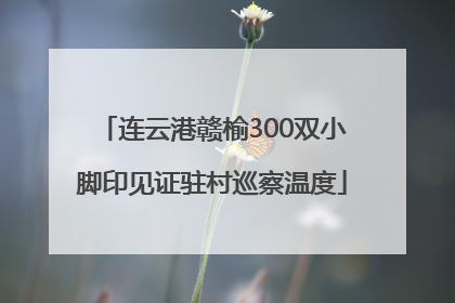 连云港赣榆300双小脚印见证驻村巡察温度