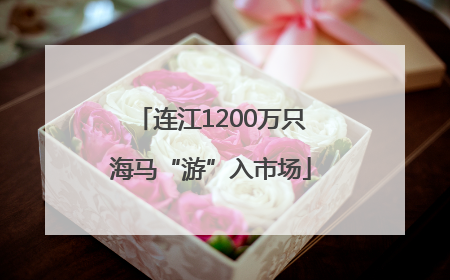 连江1200万只海马“游”入市场