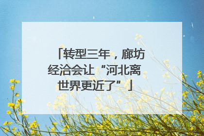 转型三年，廊坊经洽会让“河北离世界更近了”