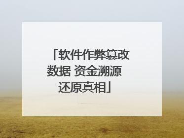 软件作弊篡改数据 资金溯源还原真相