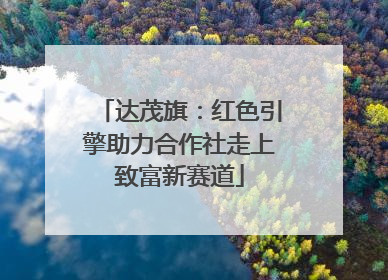 达茂旗：红色引擎助力合作社走上致富新赛道