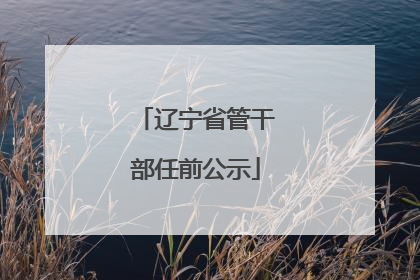 辽宁省管干部任前公示