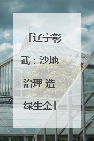辽宁彰武：沙地治理 造绿生金