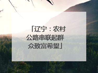 辽宁：农村公路串联起群众致富希望