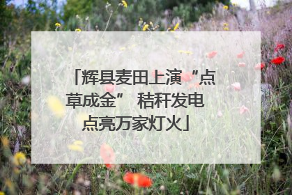辉县麦田上演“点草成金” 秸秆发电点亮万家灯火