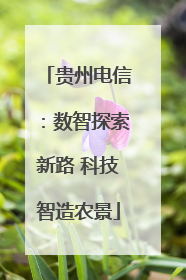 贵州电信：数智探索新路 科技智造农景