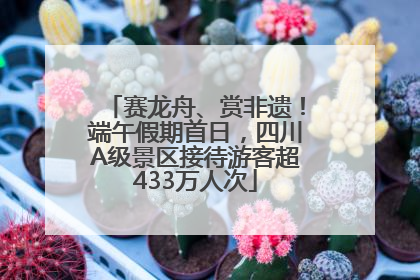 赛龙舟、赏非遗！端午假期首日，四川A级景区接待游客超433万人次