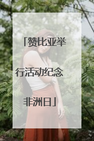 赞比亚举行活动纪念非洲日