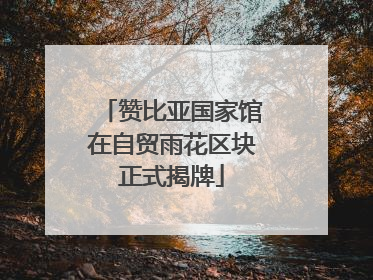 赞比亚国家馆在自贸雨花区块正式揭牌