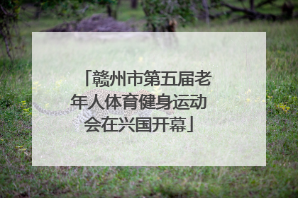 赣州市第五届老年人体育健身运动会在兴国开幕