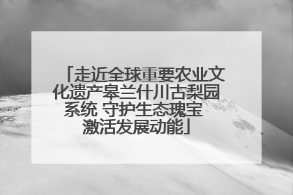 走近全球重要农业文化遗产皋兰什川古梨园系统 守护生态瑰宝 激活发展动能
