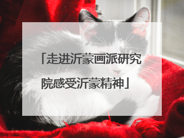 走进沂蒙画派研究院感受沂蒙精神