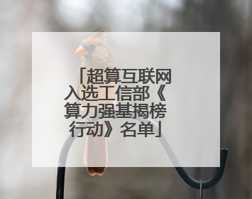 超算互联网入选工信部《算力强基揭榜行动》名单