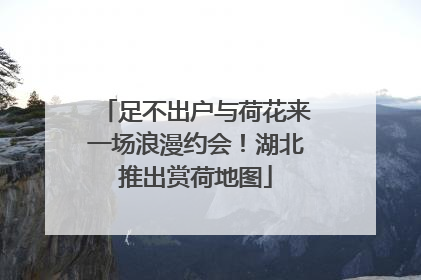 足不出户与荷花来一场浪漫约会！湖北推出赏荷地图