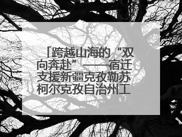 跨越山海的“双向奔赴”——宿迁支援新疆克孜勒苏柯尔克孜自治州工作纪实