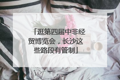 逛第四届中非经贸博览会，长沙这些路段有管制