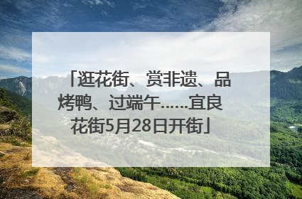 逛花街、赏非遗、品烤鸭、过端午……宜良花街5月28日开街