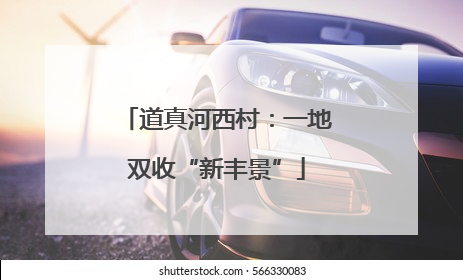 道真河西村：一地双收“新丰景”