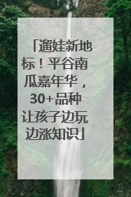 遛娃新地标！平谷南瓜嘉年华，30+品种让孩子边玩边涨知识