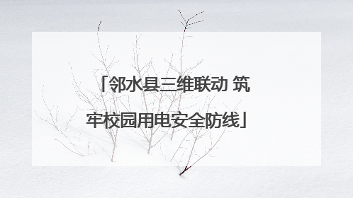 邻水县三维联动 筑牢校园用电安全防线