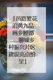 邑路繁花 沿黄九品 画乡鲤都……聊城乡村振兴片区建设亮点纷呈