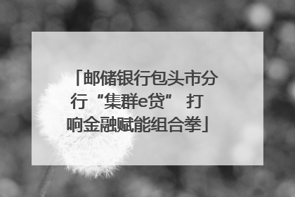 邮储银行包头市分行“集群e贷” 打响金融赋能组合拳