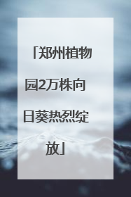 郑州植物园2万株向日葵热烈绽放