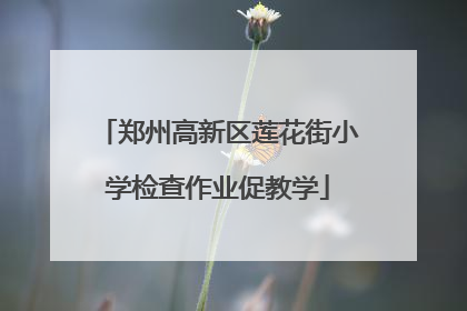 郑州高新区莲花街小学检查作业促教学
