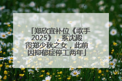 郑欣宜补位《歌手2025》，系沈殿霞郑少秋之女，此前因抑郁症停工两年