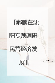 郝鹏在沈阳专题调研民营经济发展