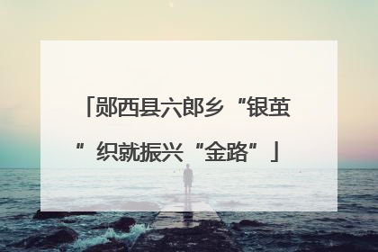 郧西县六郎乡“银茧”织就振兴“金路”