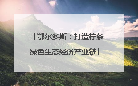 鄂尔多斯：打造柠条绿色生态经济产业链