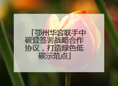 鄂州华容联手中碳登签署战略合作协议，打造绿色低碳示范点