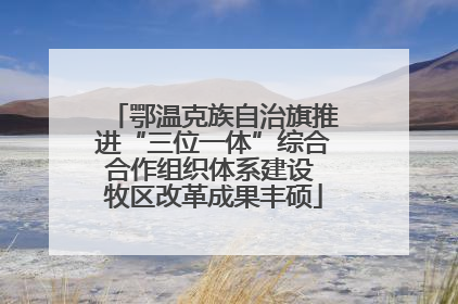 鄂温克族自治旗推进“三位一体”综合合作组织体系建设 牧区改革成果丰硕